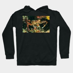 Caribbean King Crab Hoodie